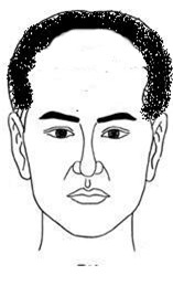 Nhìn tướng trán đoán trúng tính cách và trí tuệ của con người - Ảnh 5.