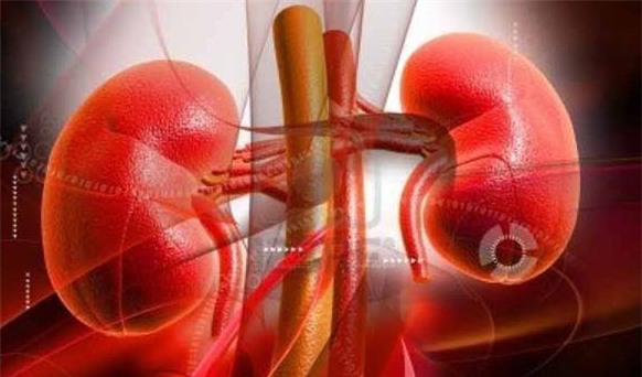 Bệnh viêm cầu thận khiến 2 học sinh ở Nghệ An tử vong nguy hiểm như thế nào? - Ảnh 1.