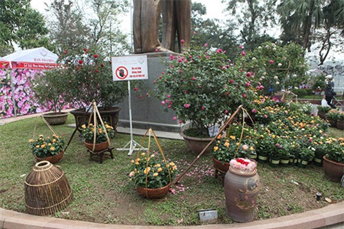 sung sot voi 3 le hoi hoa duoc vi nhu "tham hoa mua hang online" - 4