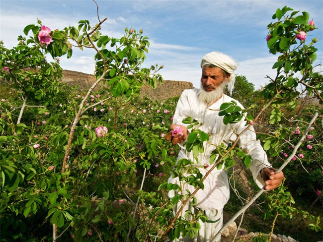 7 điểm du lịch nước ngoài đẹp xuất sắc cho chuyến đi tháng 3 - Ảnh 1.