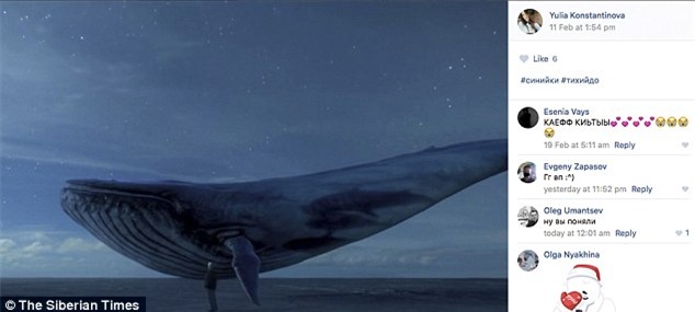 Sự thật đáng sợ đằng sau hàng loạt vụ tự tử của trẻ vị thành niên Nga được hé lộ - Ảnh 4.