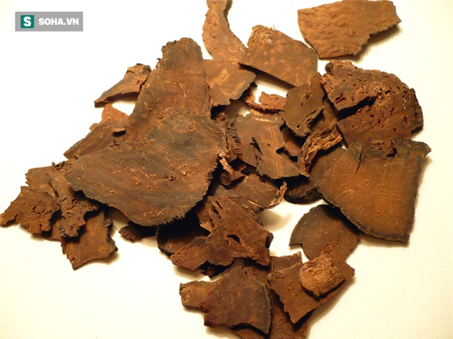 10 cách chế biến trứng cút khiến món ăn trở thành vị thuốc bổ - Ảnh 2.