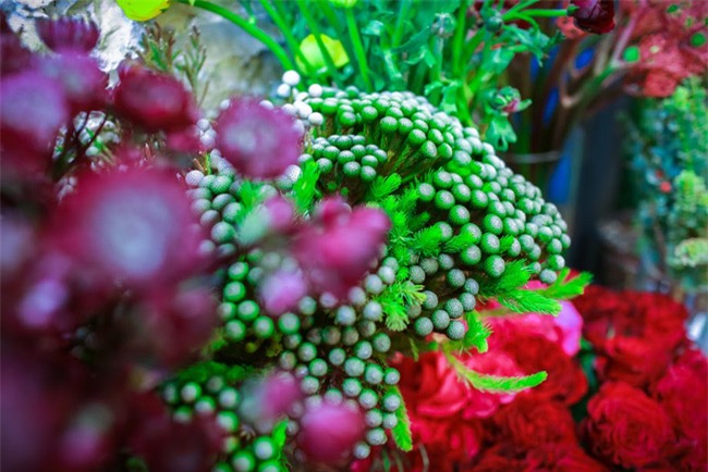 Ngắm loạt hoa nhập khẩu độc, đẹp khiến quý ông không tiếc tiền chi hẳn trăm triệu tặng vợ dịp 8/3 - Ảnh 29.
