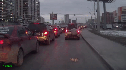 Cần phải xử phạt thật nặng thanh niên suýt gây tai nạn giao thông này.