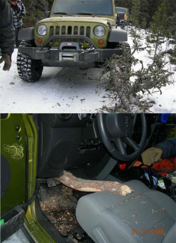 May quá, mạng anh còn lớn lắm, cần truyền lại may mắn cho con cháu đời sau nữa mà.