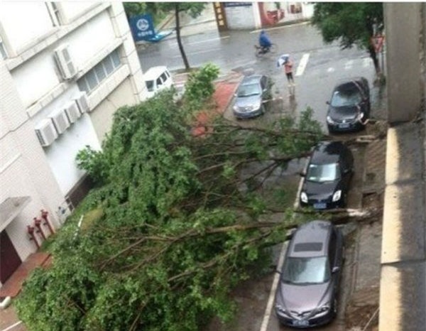 Khu phố may mắn nhất thế giới là đây.