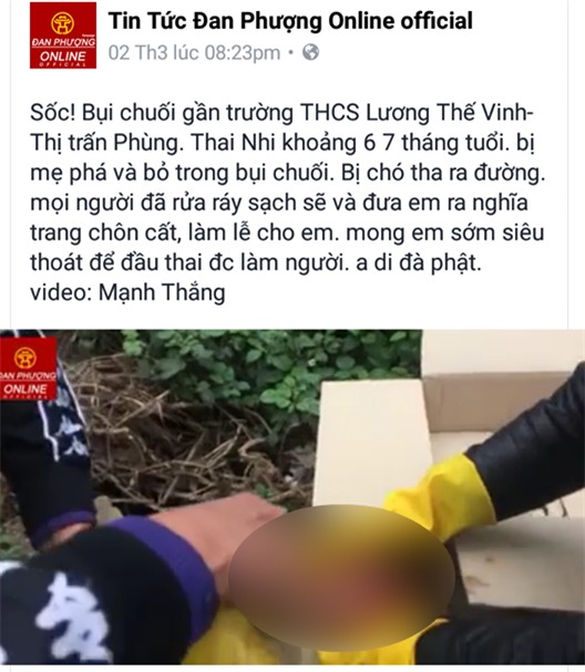 Hà Nội: Xác minh chuyện chó cắp xác thai nhi còn nguyên dây rốn chạy trên vỉa hè - Ảnh 1.