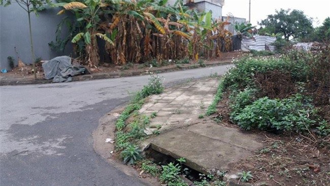 Hà Nội: Xác minh chuyện chó cắp xác thai nhi còn nguyên dây rốn chạy trên vỉa hè - Ảnh 2.