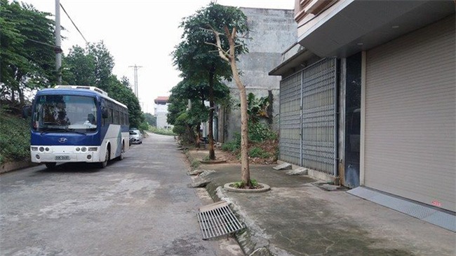 Hà Nội: Xác minh chuyện chó cắp xác thai nhi còn nguyên dây rốn chạy trên vỉa hè - Ảnh 7.