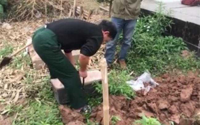 Hà Nội: Xác minh chuyện chó cắp xác thai nhi còn nguyên dây rốn chạy trên vỉa hè - Ảnh 8.