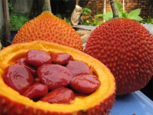 Gấc ngăn ngừa ung thư vú (Ảnh minh họa).