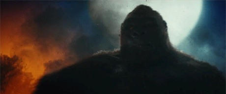 Kong: Skull Island - Việt Nam rất đẹp, và chỉ thế thôi... - Ảnh 3.