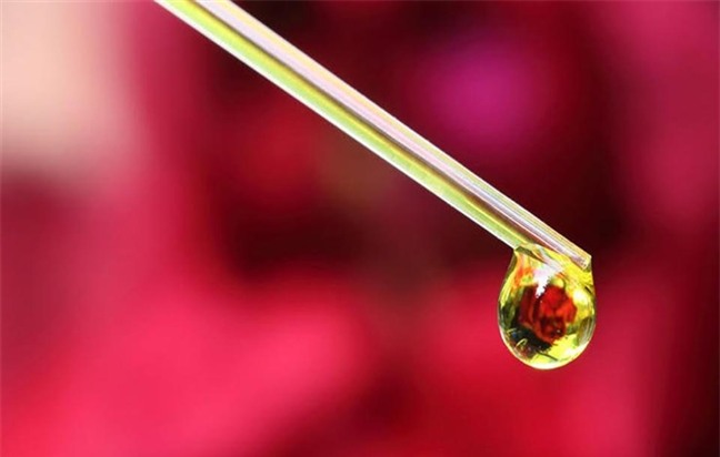 Su dung tinh dau khong dung cach, ruoc hoa vao than