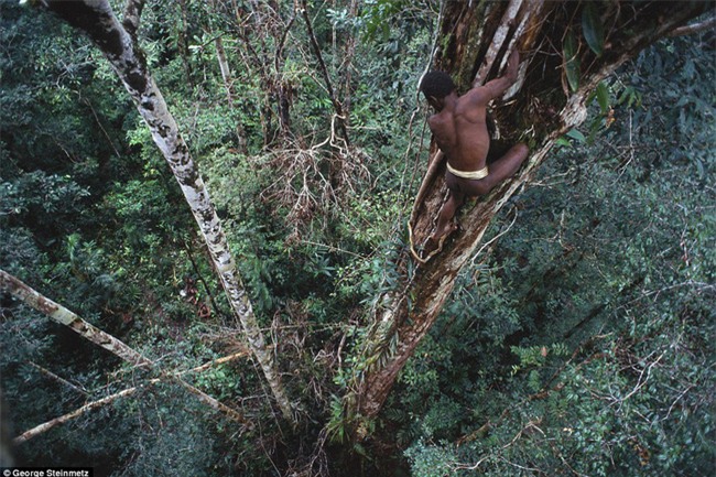 Sống trên những ngôi nhà cây cao tới 50m, bộ lạc bí ẩn khiến nhiều người khâm phục sức sống phi thường - Ảnh 3.