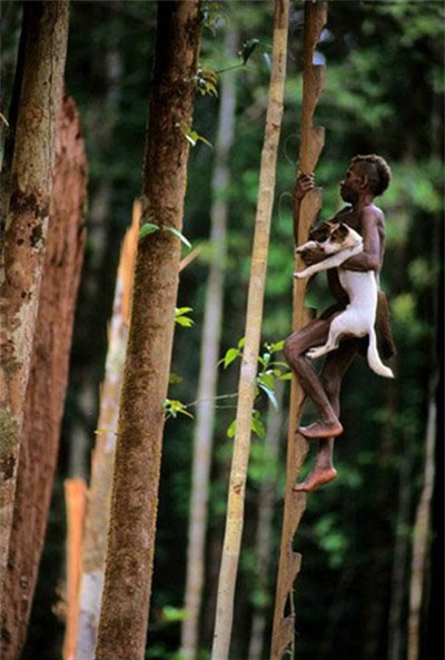 Sống trên những ngôi nhà cây cao tới 50m, bộ lạc bí ẩn khiến nhiều người khâm phục sức sống phi thường - Ảnh 7.