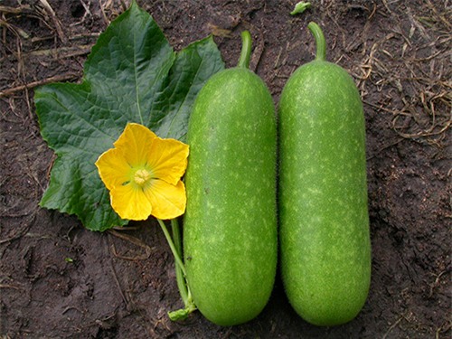 tang can tang ca vong eo, ngoc trinh da phai lam loai nuoc nay de uong moi ngay - 4