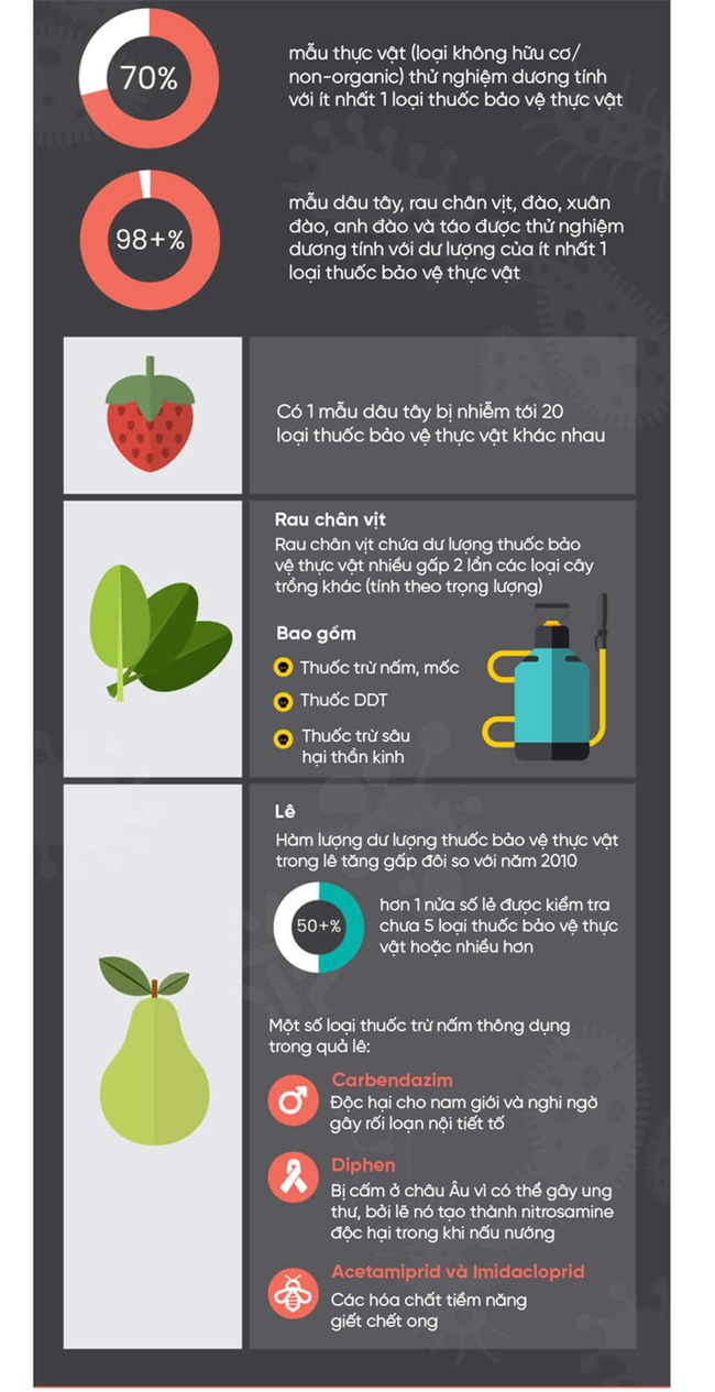 Công bố danh sách 12 loại rau củ quả nhiều thuốc trừ sâu nhất & 15 loại ít nhất năm 2017 - Ảnh 1.