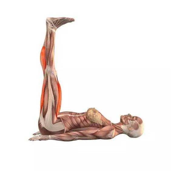 Giơ chân dưỡng sinh: Bài tập đơn giản tốt từ đầu đến chân ai cũng nên biết sớm - Ảnh 1.