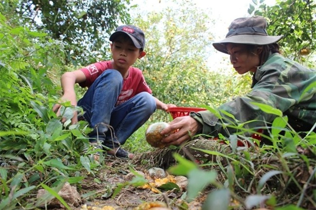 Mat tien trieu moi ngay vi cam rung hinh anh 1