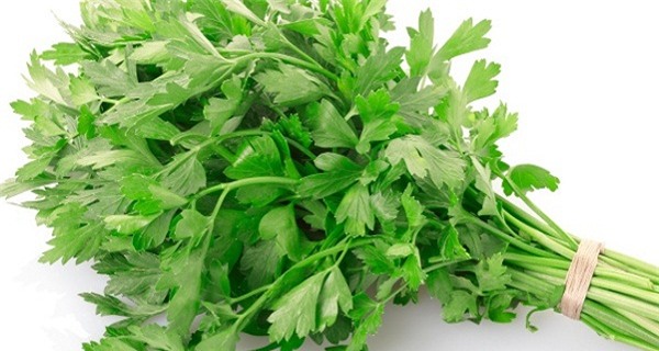 Món đồ uống thải độc và bồi bổ làm từ dưa chuột và rau mùi: Hãy làm ngay hôm nay! - Ảnh 1.