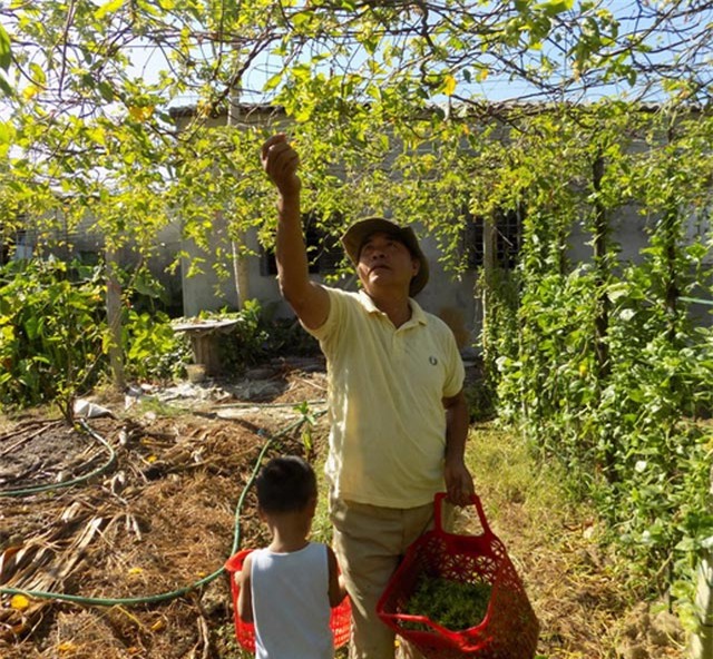 trong hoa thien ly, moi thang 