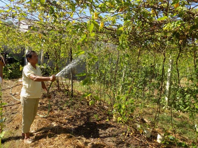 trong hoa thien ly, moi thang 