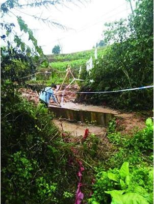 Xâm phạm mộ cổ, 10 kẻ cắp ngay lập tức nhận quả báo - Ảnh 1.