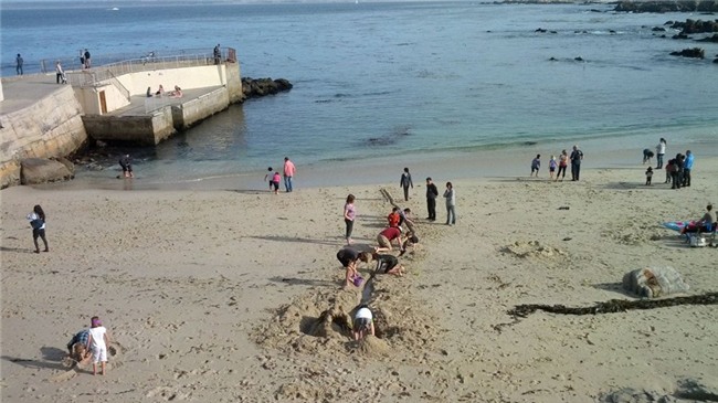 lao động cấp cao, khởi nghiệp, Google