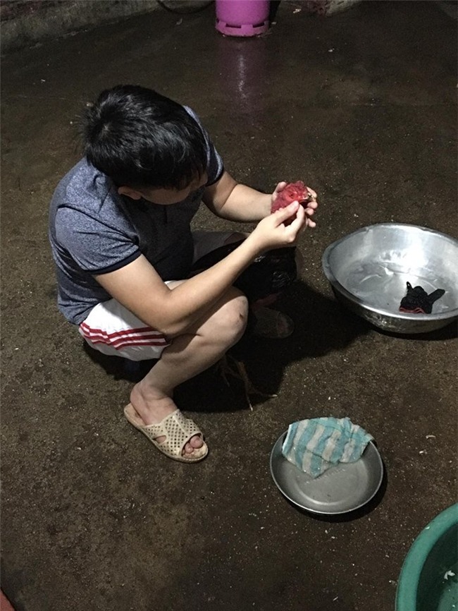 chet cuoi vo tre ghen ty voi