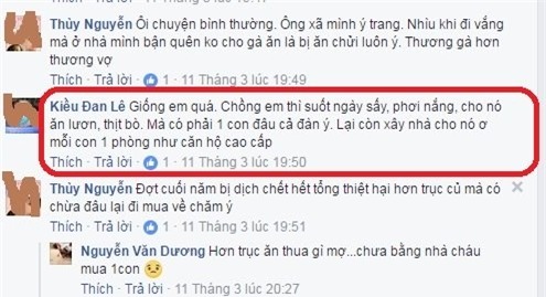 chet cuoi vo tre ghen ty voi