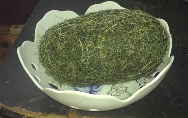 cát lợn, trư cát, trư sa, vật thể lạ, bao tử lợn, cát lợn tiền tỷ,