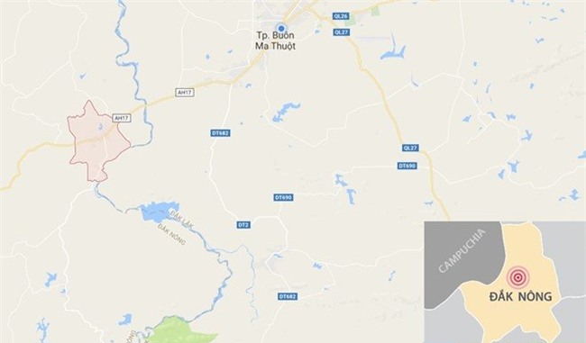 cát lợn, trư cát, trư sa, vật thể lạ, bao tử lợn, cát lợn tiền tỷ,