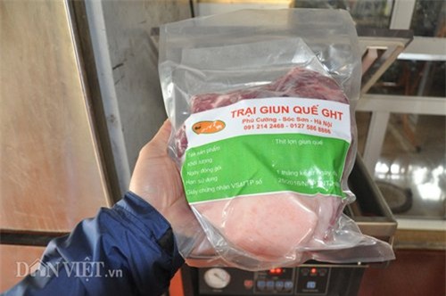 lợn nghe nhạc, lợn giun quế, Hà Nội, nuôi lợn, thịt lợn sạch, thịt lợn,