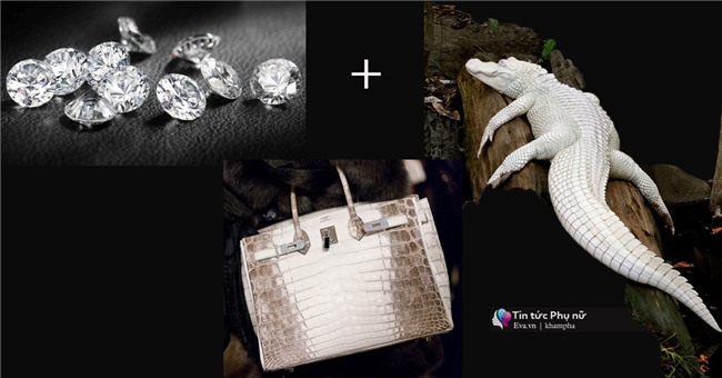 su that ve chiec tui khien ngoc trinh, do manh cuong khau chien rat mat - 3