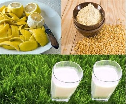 Quên kem trộn đi, muốn trắng như bông bưởi hãy dùng cách tự nhiên, lành tính này - Ảnh 1.