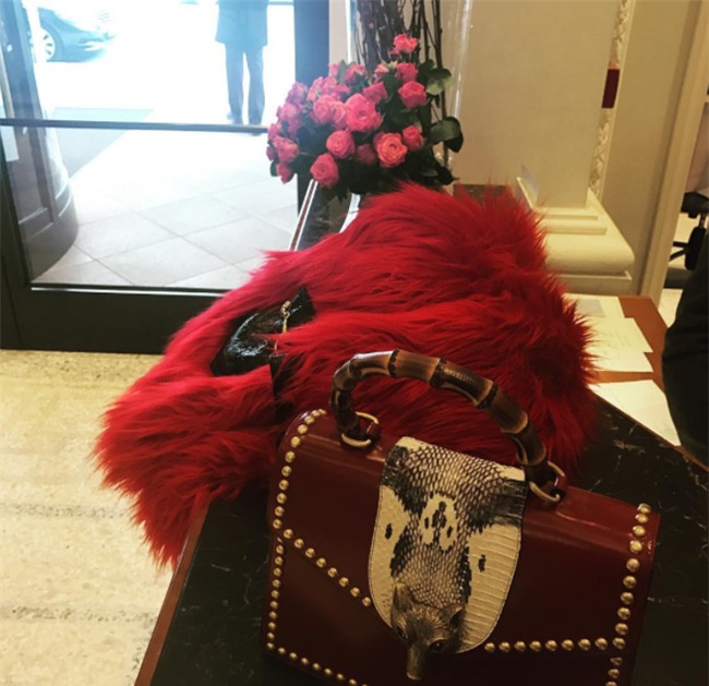 Những người đẹp chỉ chuyên trung thành với một hãng túi hiệu - Ảnh 16.