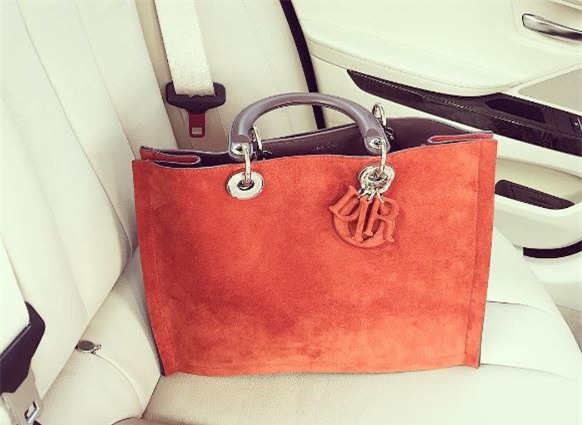 Những người đẹp chỉ chuyên trung thành với một hãng túi hiệu - Ảnh 38.