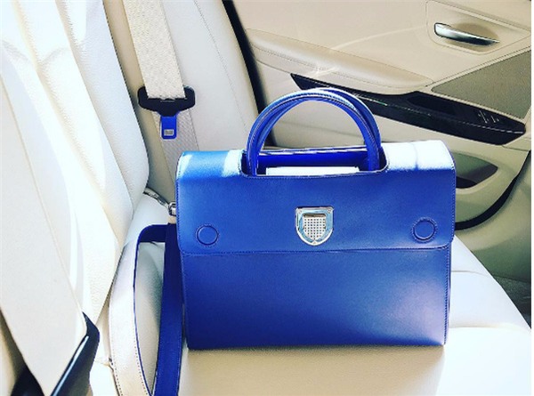 Những người đẹp chỉ chuyên trung thành với một hãng túi hiệu - Ảnh 42.