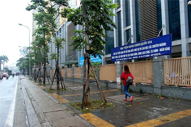 vỉa hè, Hà Nội, quận 1, Chủ tịch Hà Nội, Nguyễn Đức Chung