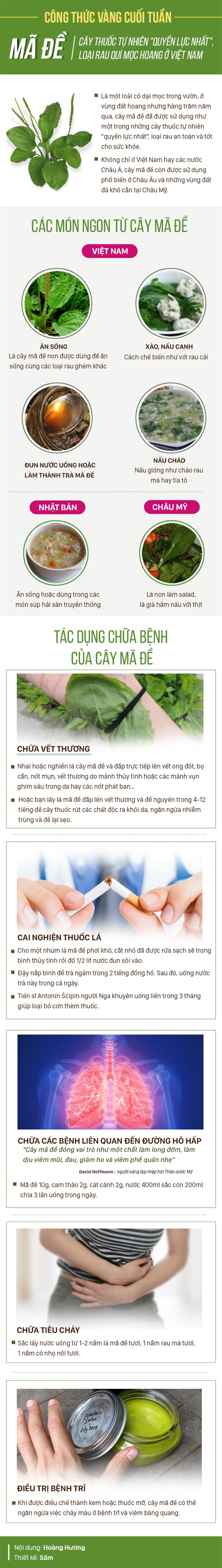 Một trong những cây thuốc quyền lực nhất thế giới: Người Việt tiện tay hái là có ngay - Ảnh 1.