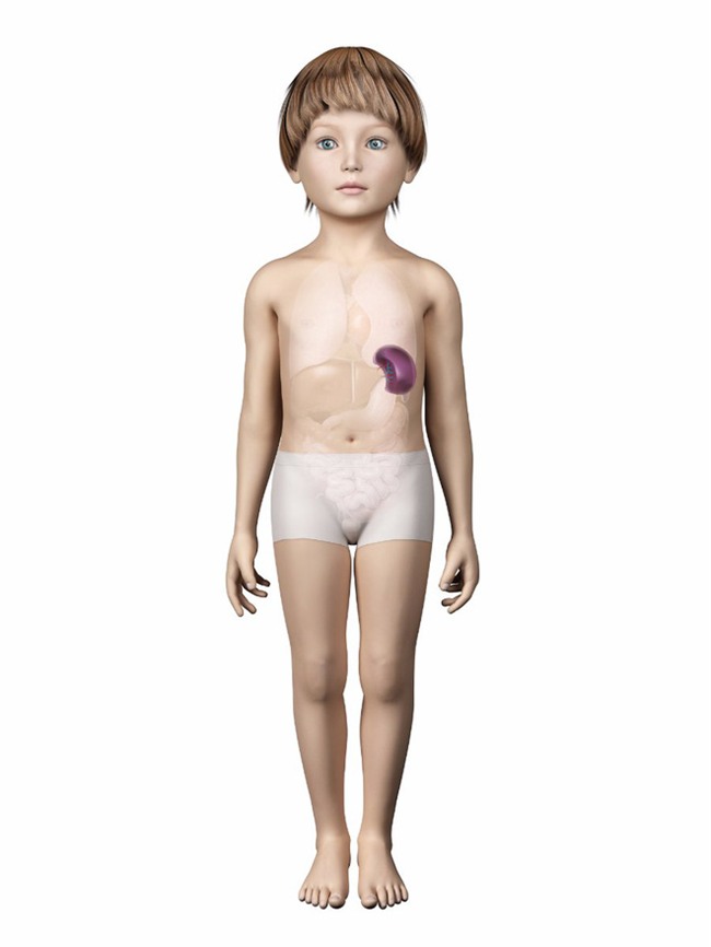 Cắt 1 món đồ ăn yêu thích, con ngủ tốt, ăn ngoan, không xem tivi: Bố mẹ nào cũng làm được - Ảnh 5.