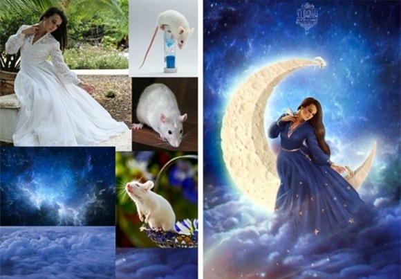 ảnh photoshop, ảnh ghép đẹp, Nghệ sĩ Victoria