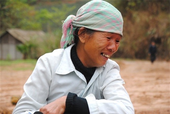 Ca nghin tan dua tren cay bong thoi nhun chua ro nguyen nhan? hinh anh 3