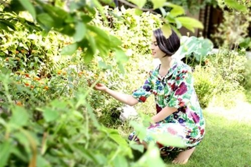 MC Thanh Mai, Thanh Mai, sao việt