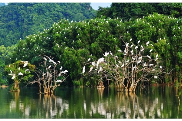 4 điểm du lịch cực nên thơ, đi mãi đi hoài vẫn không hết cảnh đẹp ở Ninh Bình - Ảnh 14.