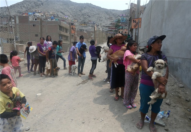 Peru chim trong bun sau lu va lo dat lich su hinh anh 13