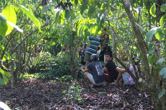 Phat hien thi the day mau trong vuon ca phe hinh anh 1