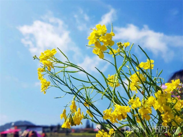 du bao thoi tiet hom nay (21.3): khong khi lanh tan, bac bo bung nang hinh anh 1