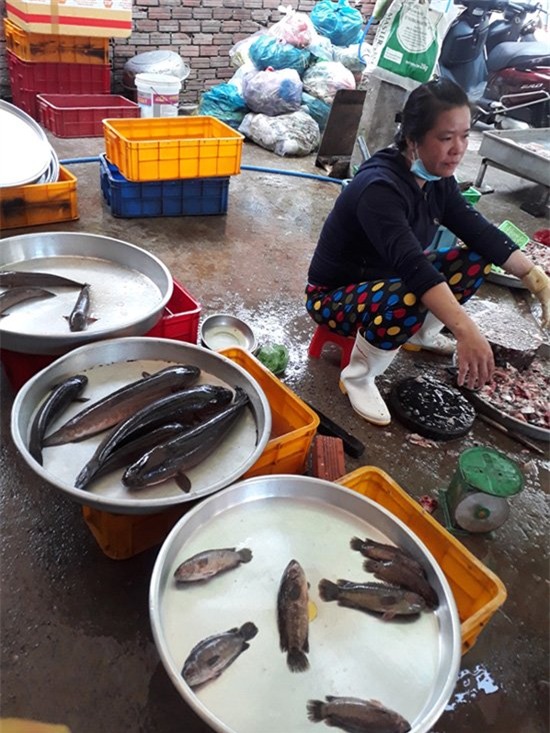 Trung Quốc, thu mua, cá đồng, cá nuôi, phân biệt,