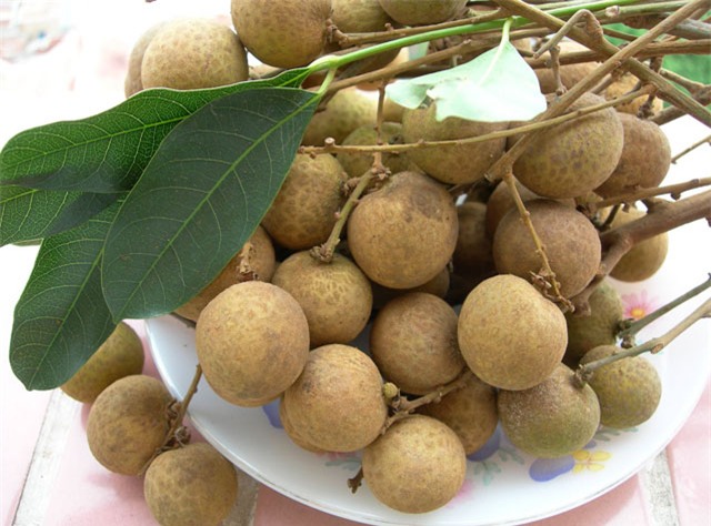 10 loại cay an quả giúp nong dan thu tièn tỷ ngon o hinh anh 10